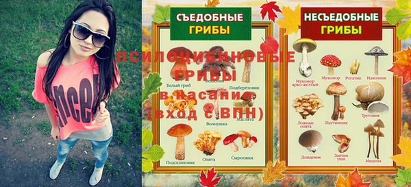spice Алзамай