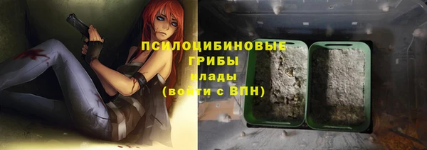 бошки Алексин