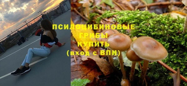 spice Алзамай