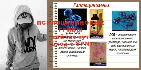 бошки Алексин