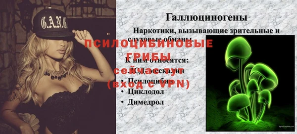 spice Алзамай